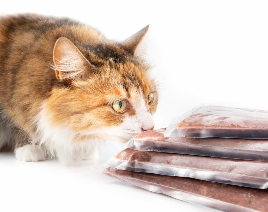 can-cats-eat-freeze-dried-food-pollypets