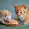 Can cats eat hedgehog food?